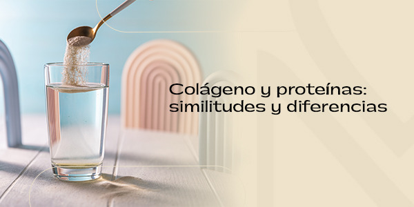 Colágeno y proteína: similitudes y diferencias