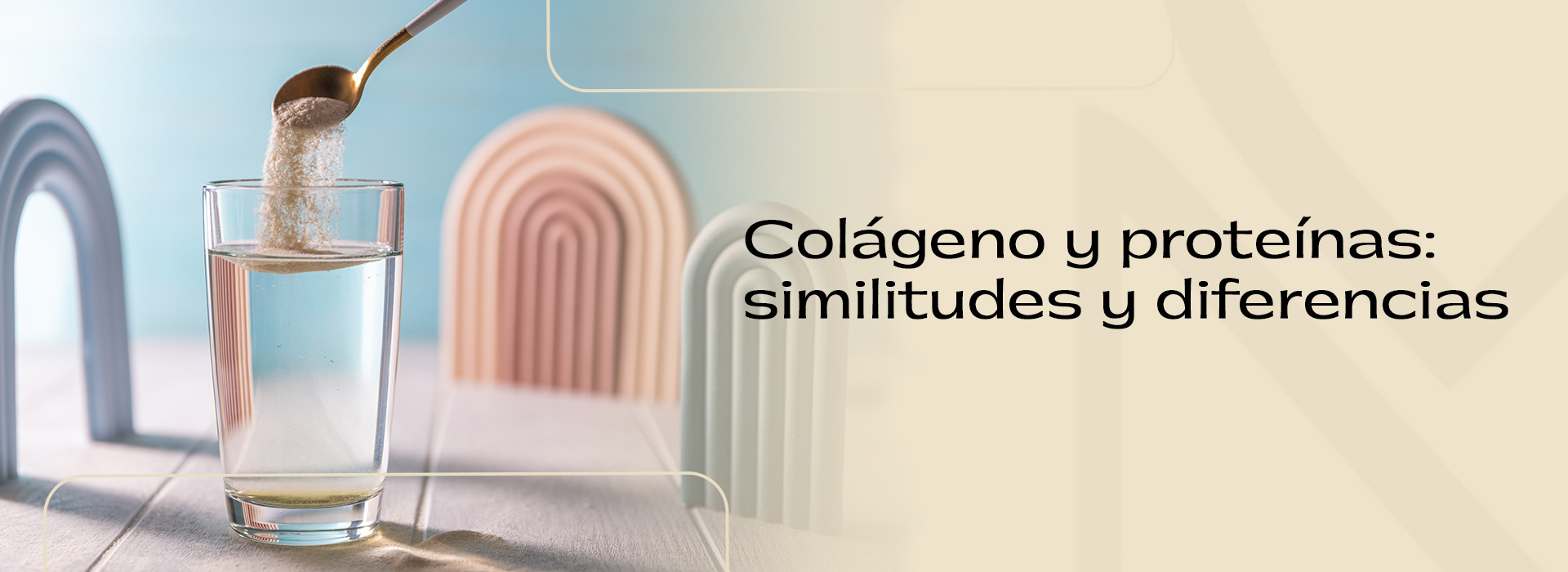 Colágeno y proteína: similitudes y diferencias