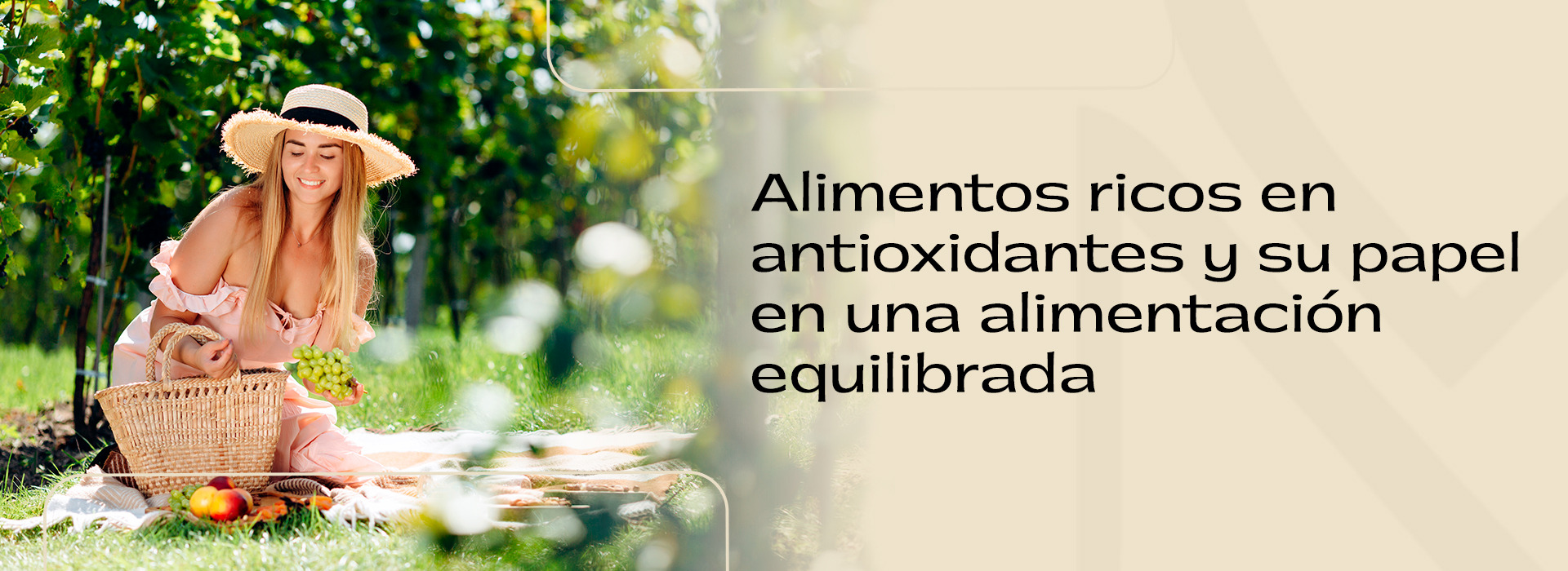 Alimentos ricos en antioxidantes y su papel en una alimentación equilibrada 